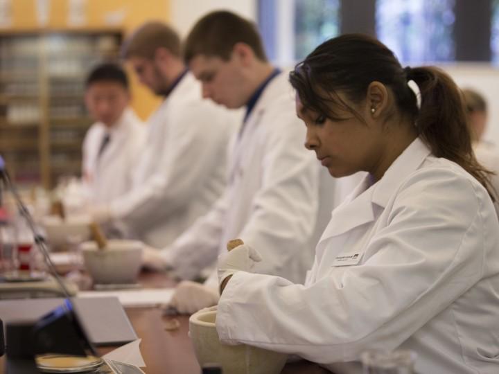 Side view of students using mortar and pestle to mix compounding ingredients